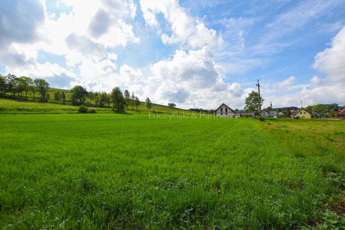 Działka budowlana na sprzedaż Olszyny  2 900m2 Foto 4