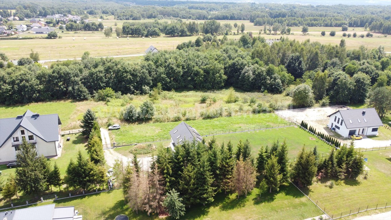 Działka budowlana na sprzedaż Borek  1 599m2 Foto 9