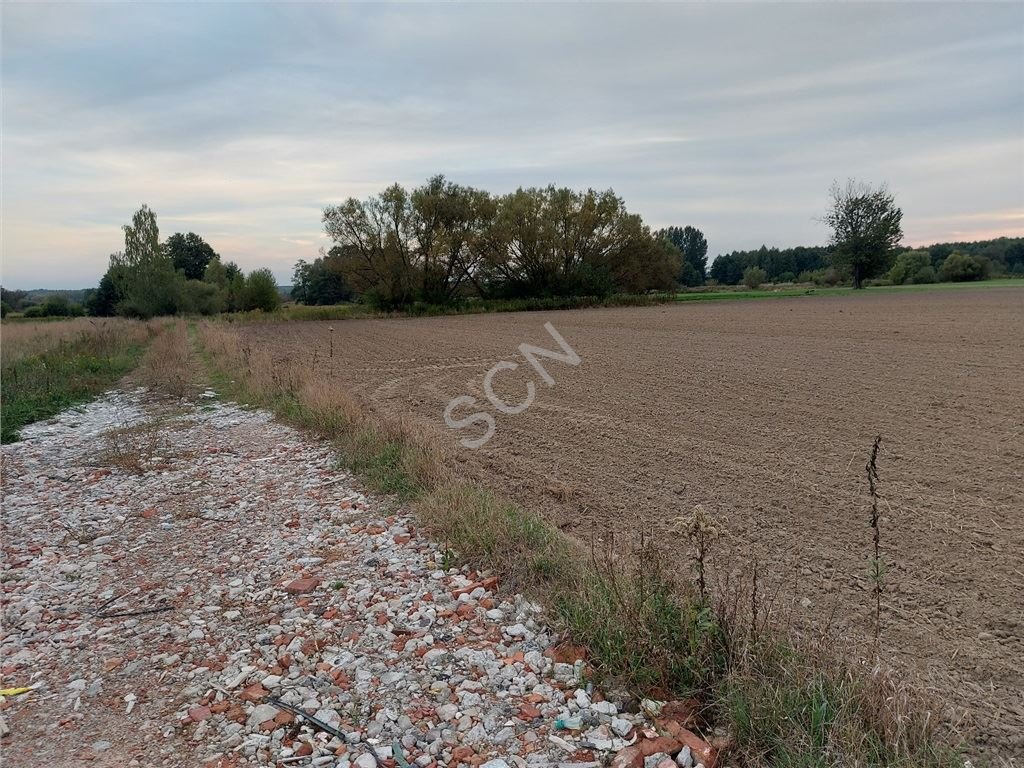 Działka budowlana na sprzedaż Duchnów  1 000m2 Foto 7