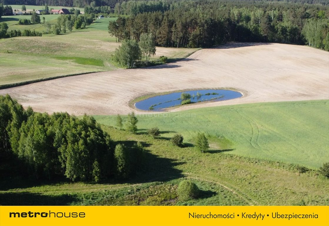 Działka inna na sprzedaż Karsin, Abisynia Górska  1 221m2 Foto 4