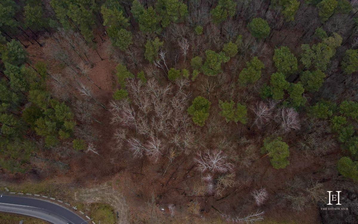 Działka budowlana na sprzedaż Sękocin-Las, Czeremchy  2 600m2 Foto 3