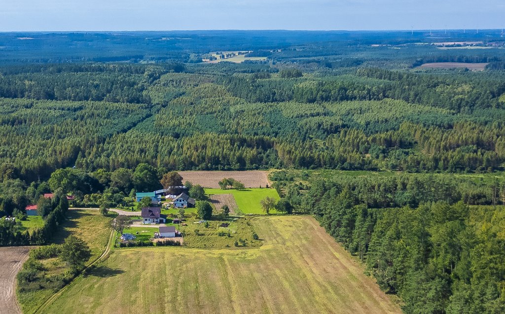 Działka 14 500 m² w Czarna Dąbrówka, blisko jezior - polecam! Czarna Dąbrówka  14 500m2 Foto 1
