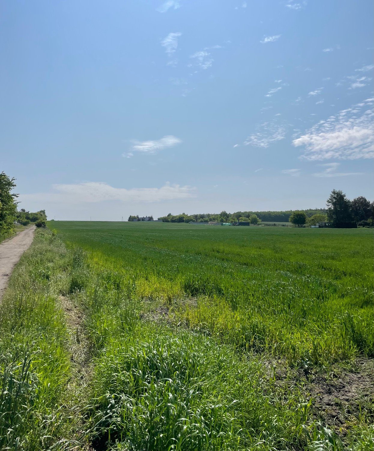 Działka inna na sprzedaż Poznań, Starołęka-Minikowo-Marlewo, Starołęka, Rozwadowska  1 072m2 Foto 2