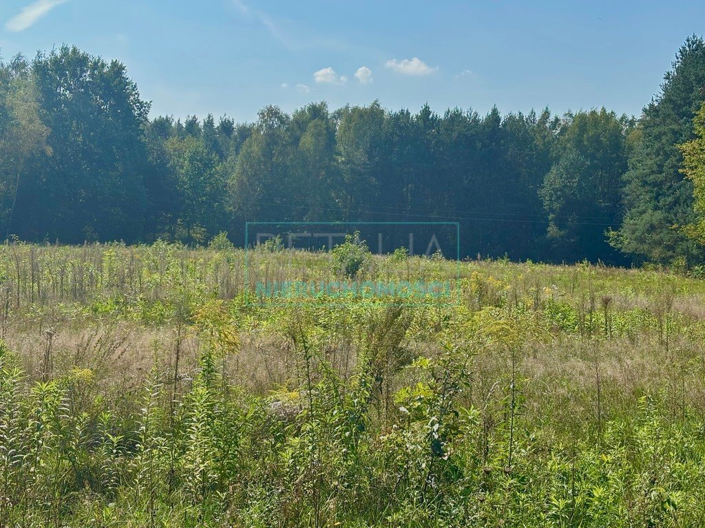 Działka przemysłowo-handlowa na sprzedaż Budy Mszczonowskie  11 266m2 Foto 5