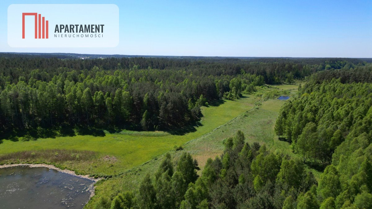 Działka budowlana na sprzedaż Borzechowo  46 200m2 Foto 2