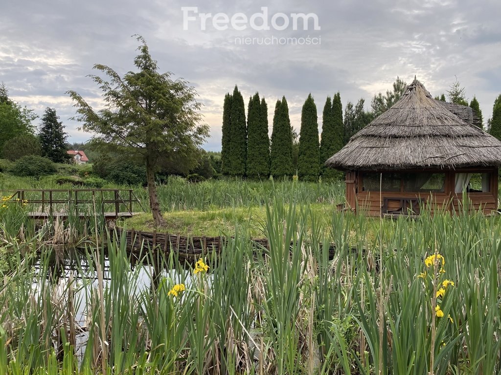 Działka budowlana na sprzedaż Tomaszkowo  3 558m2 Foto 3