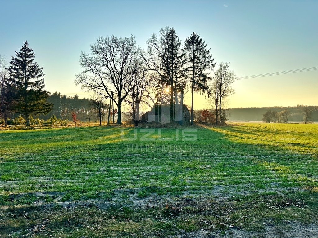 Urokliwy dom 80 m2 na działce 4900 m2 w otoczeniu lasów polecam Zajączek  120m2 Foto 1