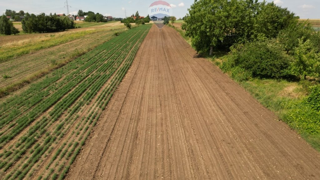 Działka budowlana na sprzedaż Krzysztoforzyce  5 500m2 Foto 5