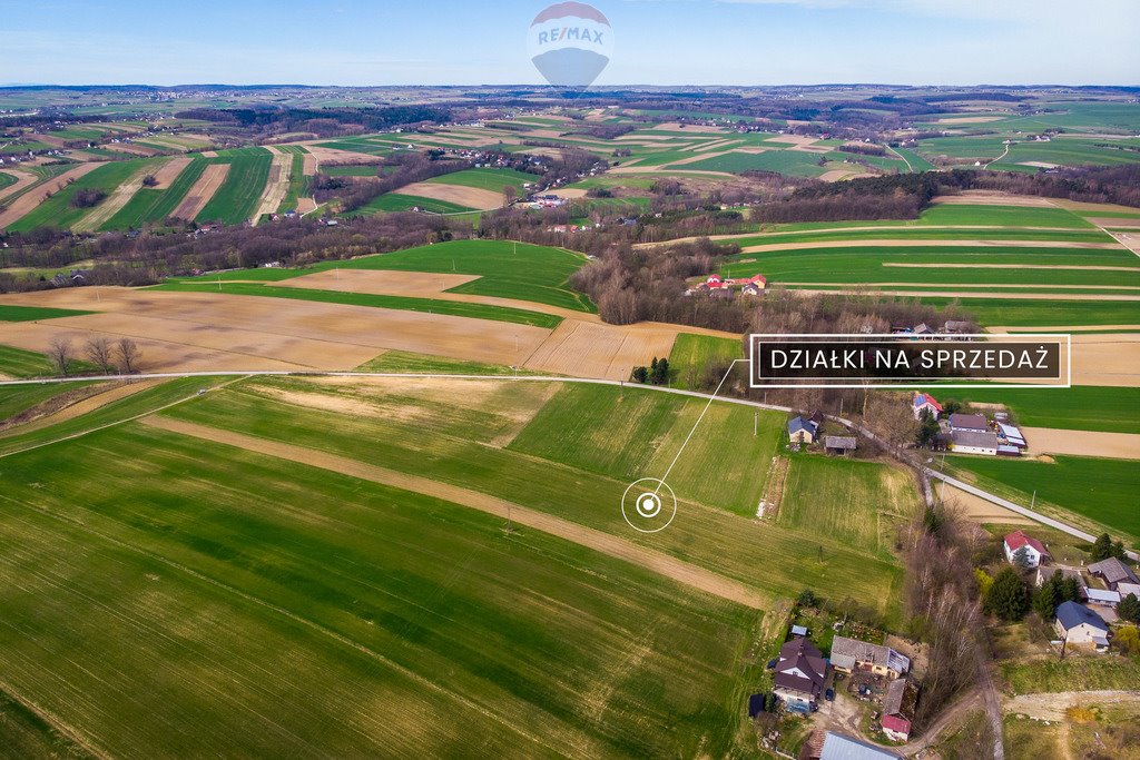 Działka budowlana na sprzedaż Grzegorzowice Wielkie  3 200m2 Foto 7