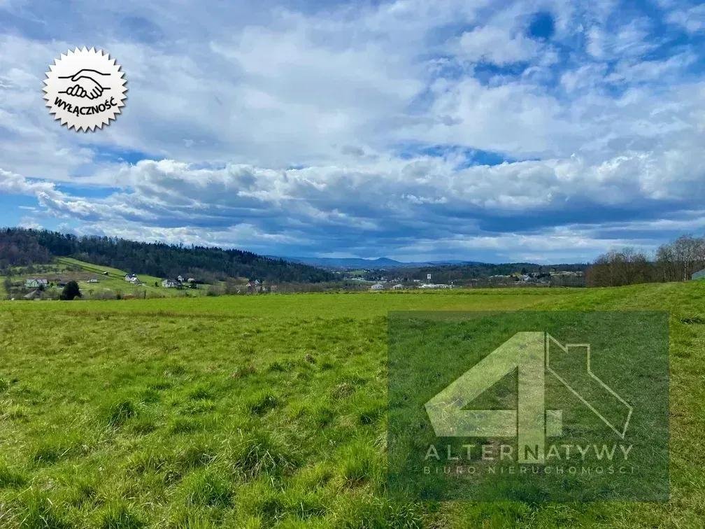 Duża działka 1 ha z widokiem na lasy - zapraszam Mogilany  10 000m2 Foto 1