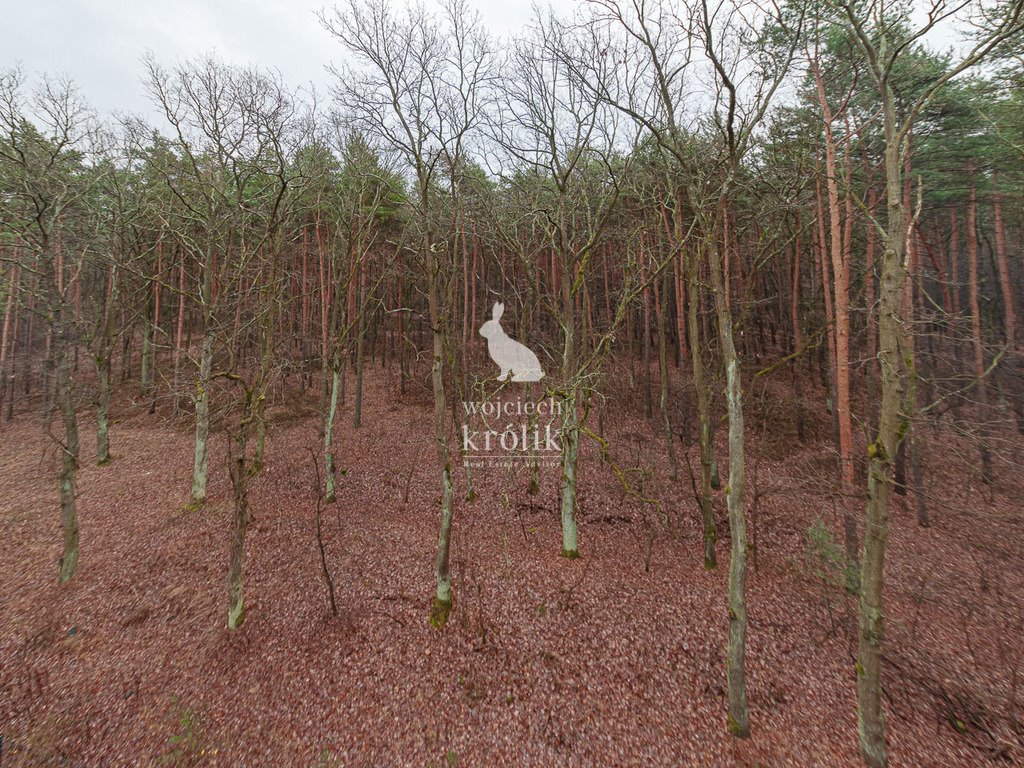 Mieszkanie trzypokojowe na sprzedaż Zielonka, Mazowiecka  53m2 Foto 12