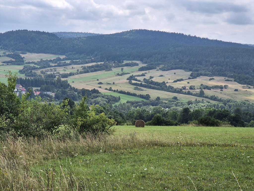 Działka rolna na sprzedaż Posada Jaśliska  9 300m2 Foto 6