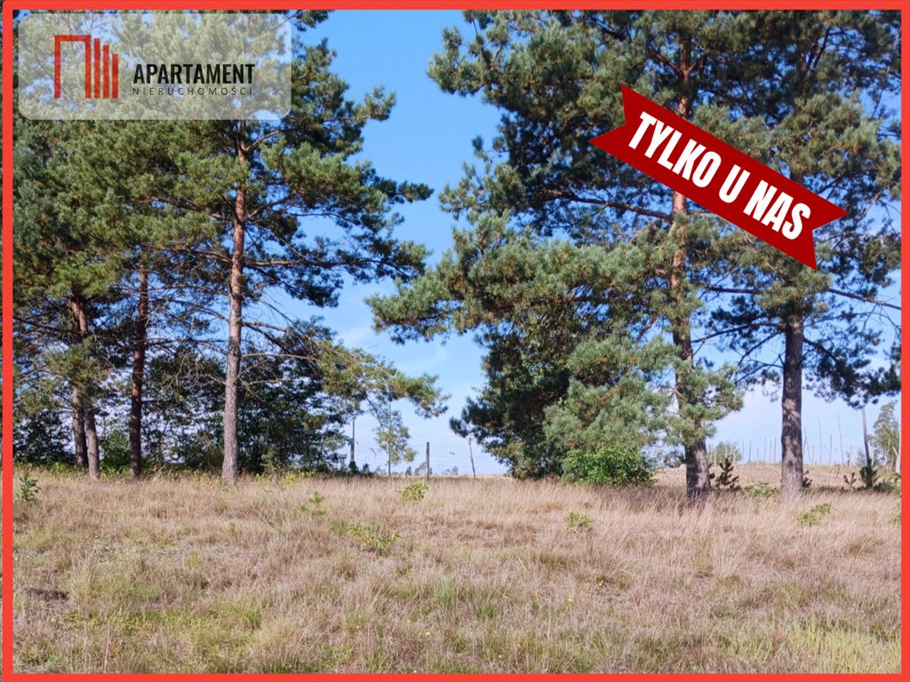 Działka rekreacyjna 2000 m² w Turzonce – blisko jezior i parków Turzonka  2 000m2 Foto 1