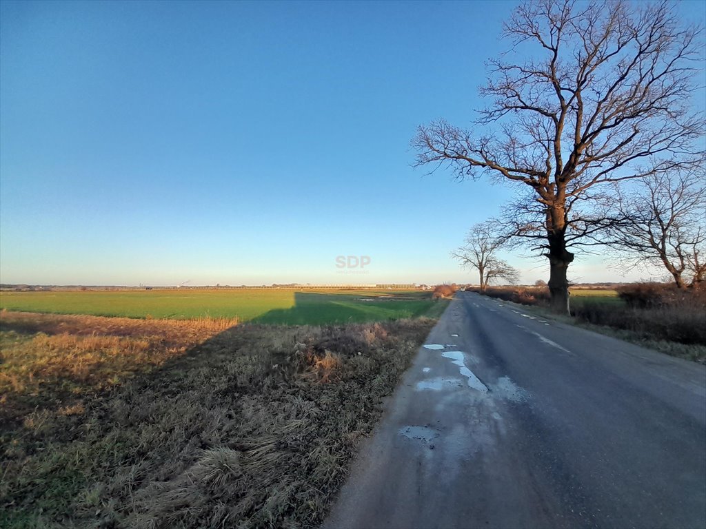Działka rolna na sprzedaż Brzeg Dolny, Średzka  10 900m2 Foto 1