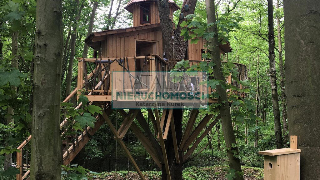 Działka siedliskowa 23 000 m² z lasem i budynkiem Wola Polska  23 000m2 Foto 1