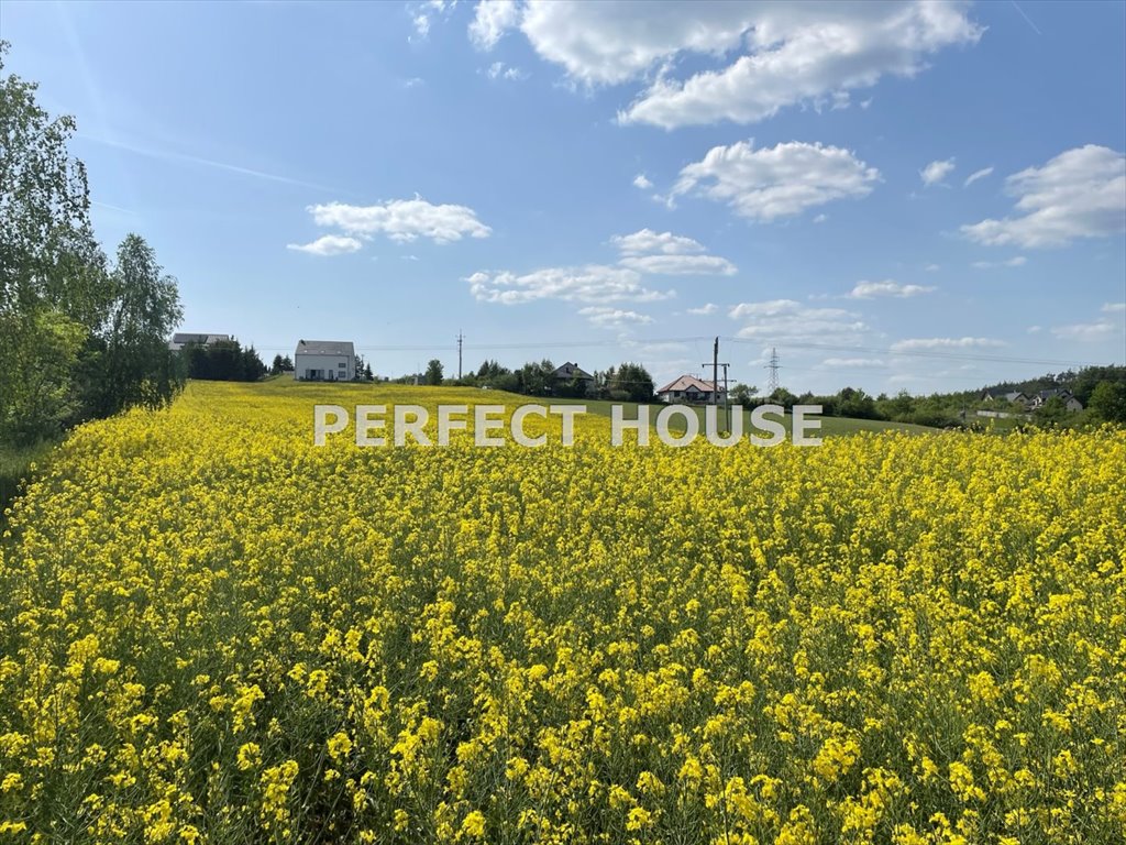Działka pod osiedle 12 domów z mediami - las i jezioro Czarnków  15 885m2 Foto 1