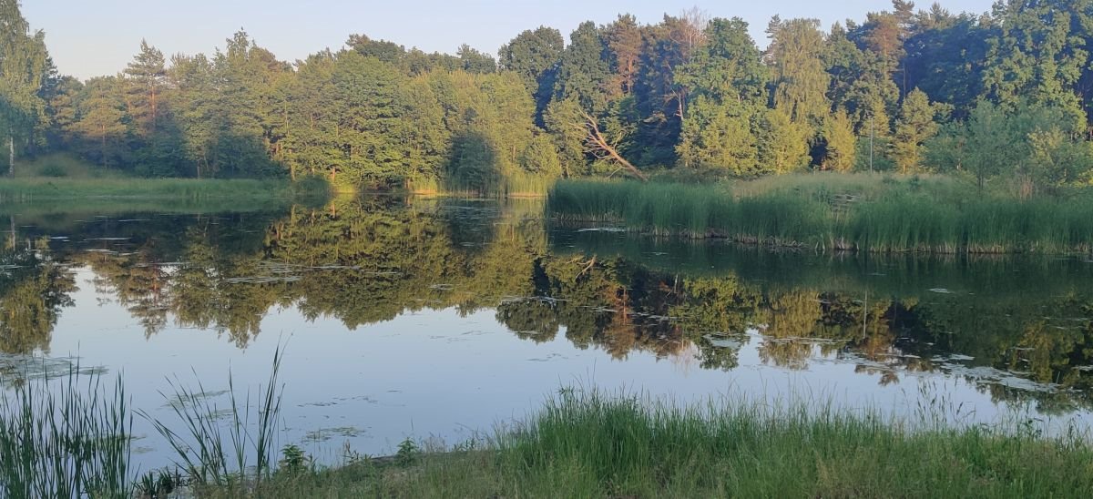 Lokal użytkowy na sprzedaż Tartak  52 600m2 Foto 15
