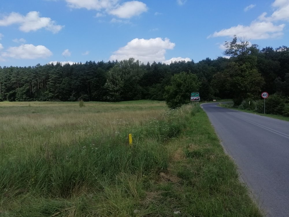 Działka budowlana na sprzedaż Krzęcin  13 200m2 Foto 5