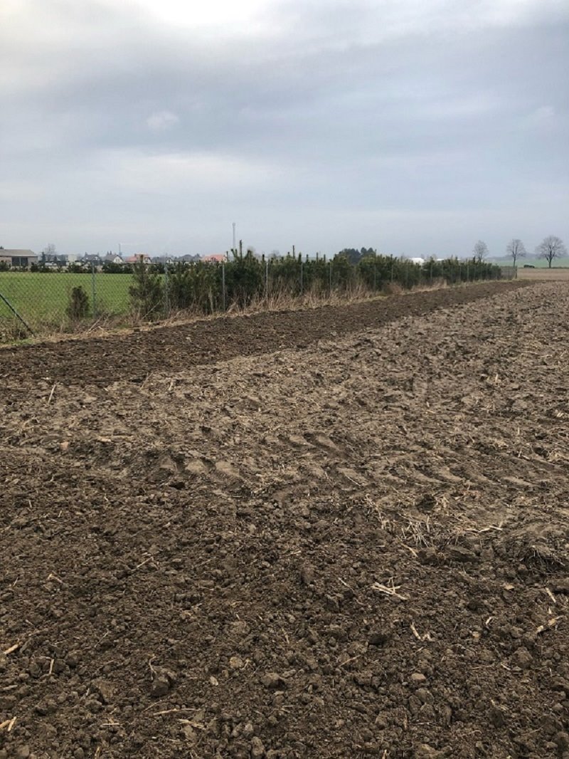 Działka siedliskowa na sprzedaż Żelazków  3 000m2 Foto 1