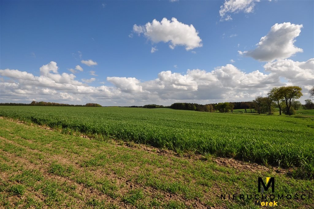 Działka budowlana na sprzedaż Bardy  60 400m2 Foto 14