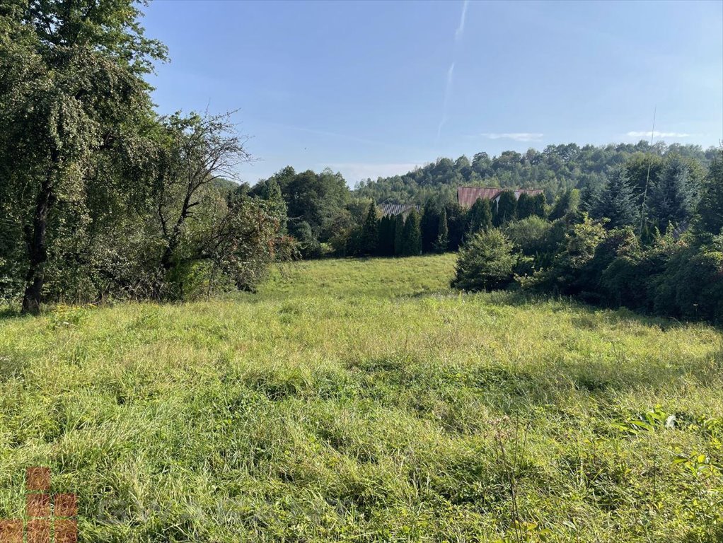 Działka budowlana na sprzedaż Brzoskwinia  3 800m2 Foto 1