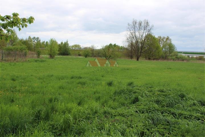 Działka inwestycyjna na sprzedaż Grodzisk Mazowiecki, Przeskok  5 235m2 Foto 1