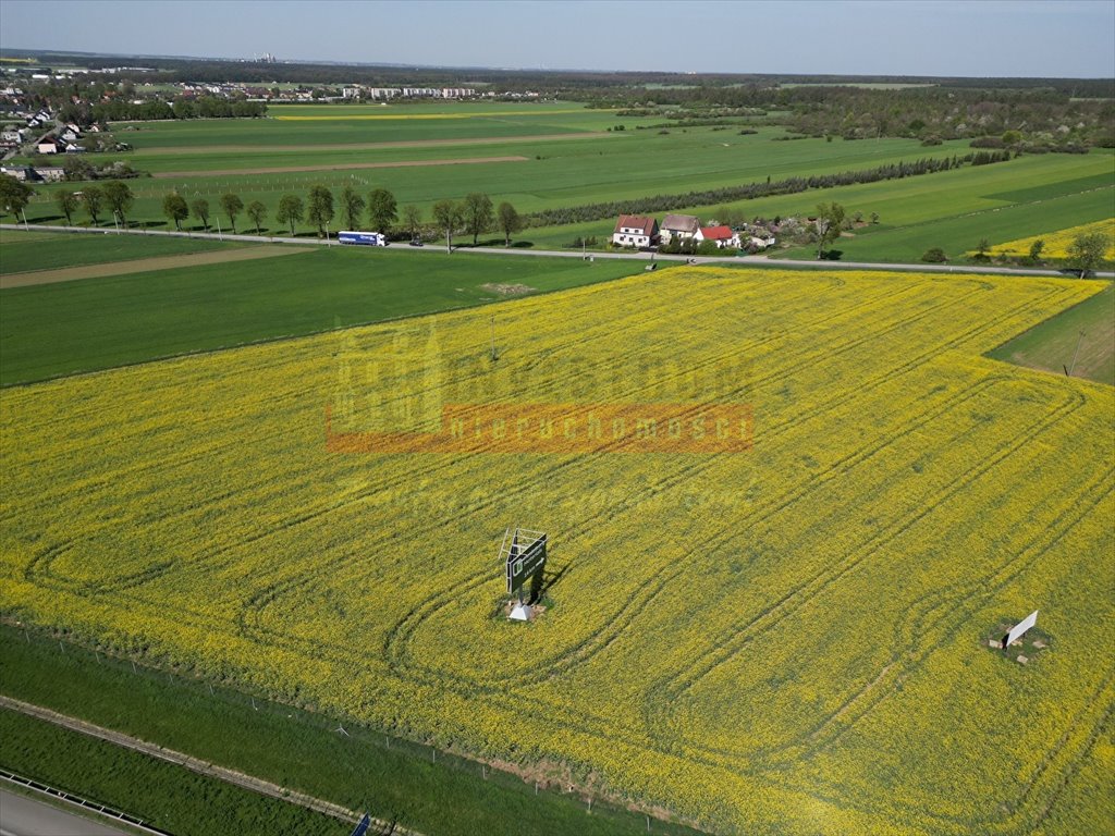 Działka inna na sprzedaż Gogolin  20 000m2 Foto 3