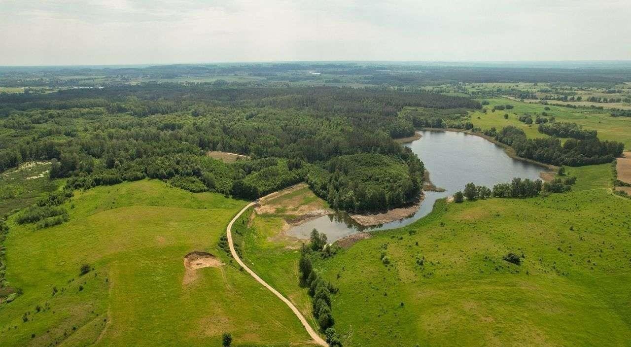 Działka rolna na sprzedaż Rogale  3 002m2 Foto 9