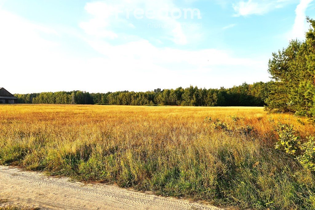 Działka siedliskowa na sprzedaż Zuzułka  9 400m2 Foto 3