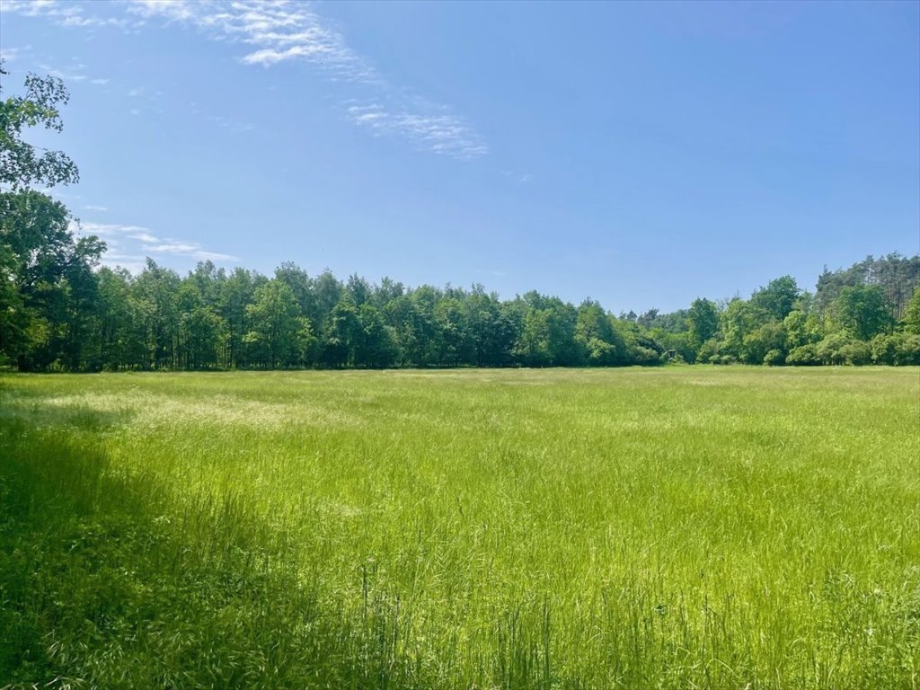 Działka budowlana na sprzedaż Bieczyny, Piękna  5 018m2 Foto 9