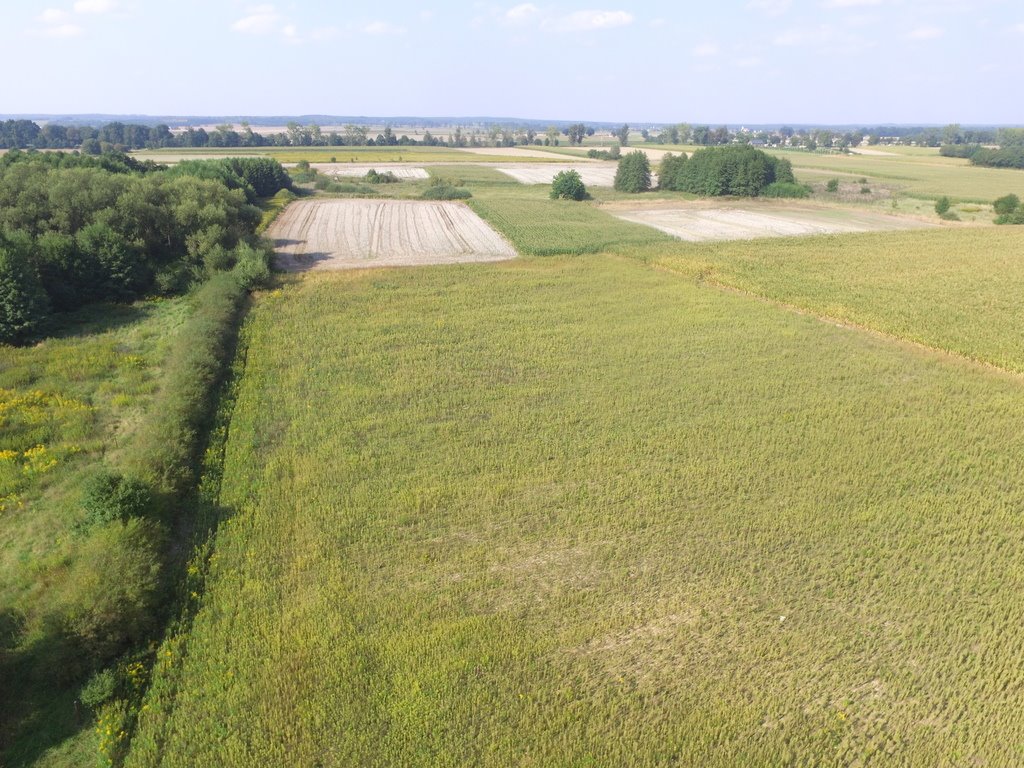 Działka budowlana na sprzedaż Dobra  1 100m2 Foto 4