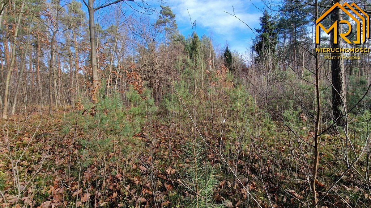 Działka rolna na sprzedaż Stare Żukowice  2 200m2 Foto 8