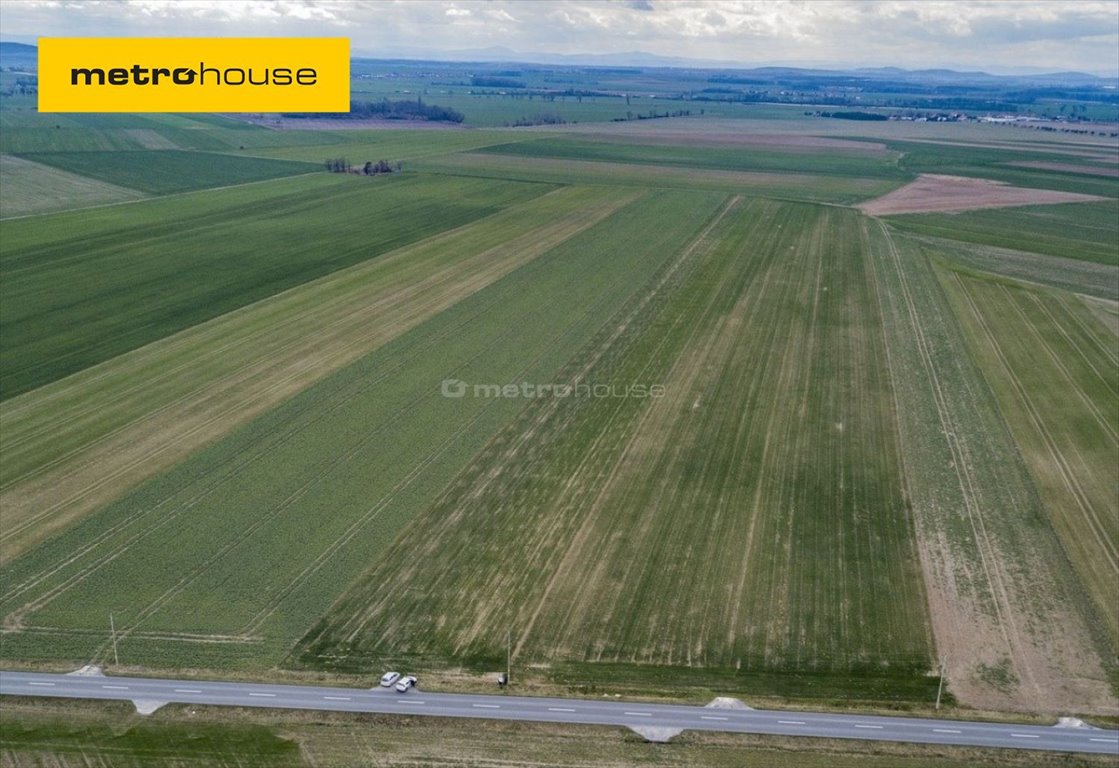 Działka rolna na sprzedaż Jenkowice  5 000m2 Foto 1