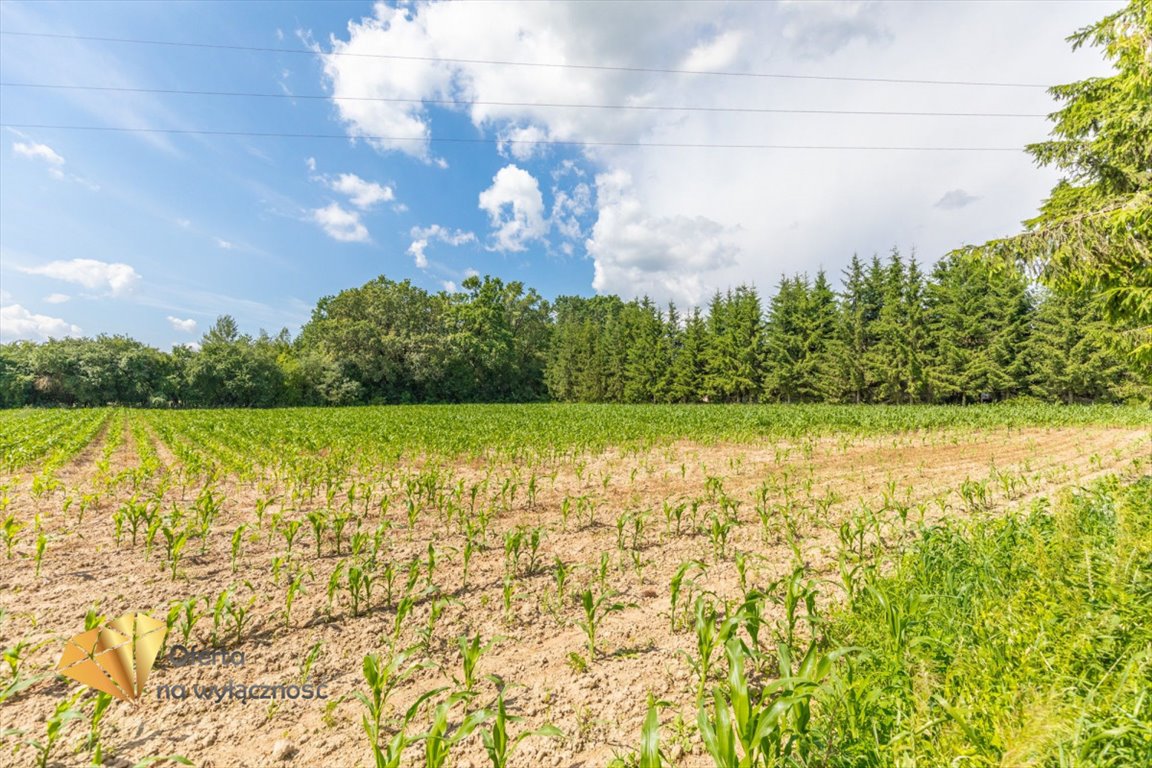 Działka inna na sprzedaż Konopnica, Zemborzyce Tereszyńskie  14 359m2 Foto 3