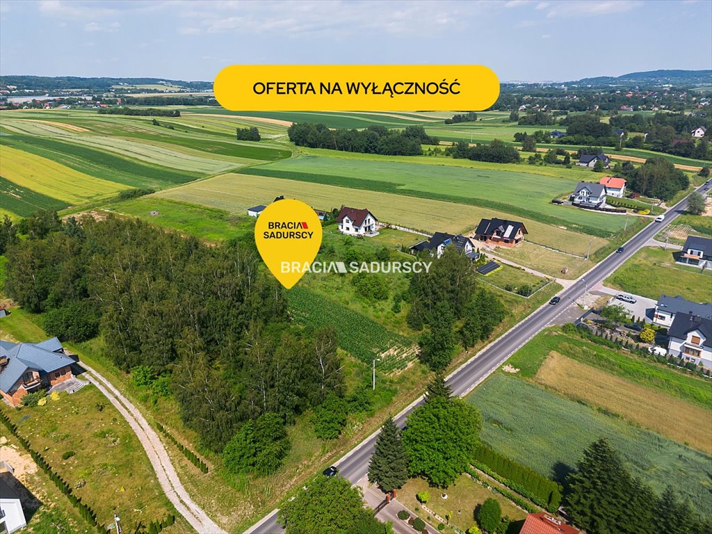 Na sprzedaż działka 58 ar pod zabudowę jednorodzinną i usługową Cholerzyn  5 800m2 Foto 1