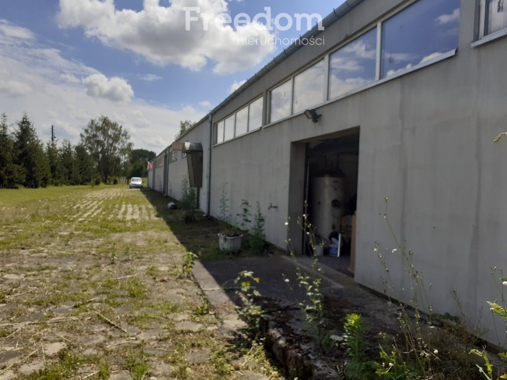 Lokal użytkowy na sprzedaż Włocławek  1 400m2 Foto 5