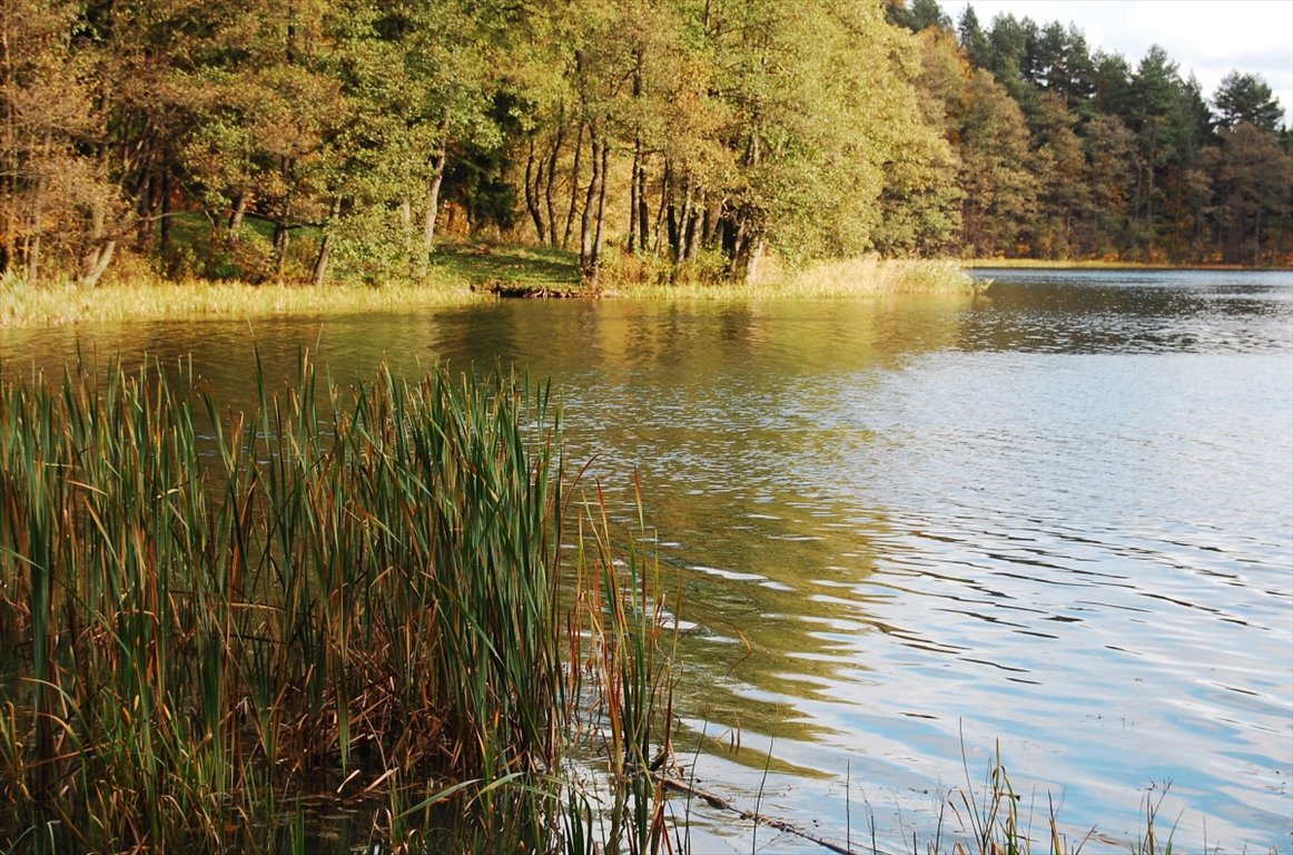 Działka rekreacyjna na sprzedaż Stare Juchy, Stare Juchy  3 000m2 Foto 1