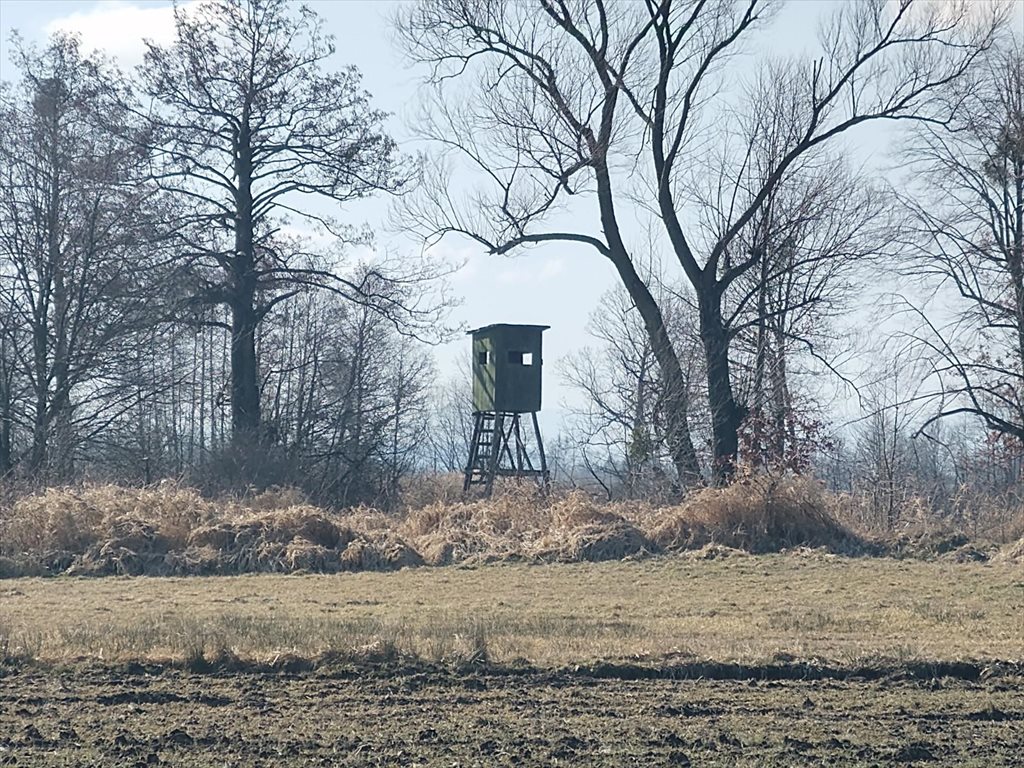 Działka rolna na sprzedaż Ochaby Wielkie  5 700m2 Foto 7