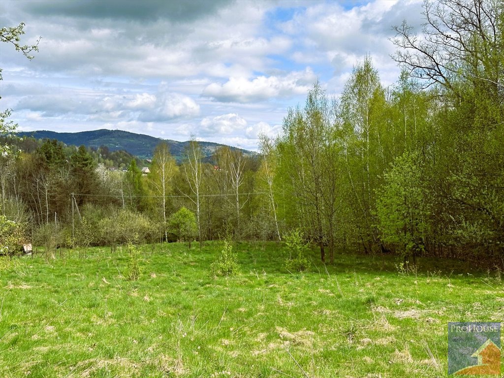 Działka inna na sprzedaż Lipowe  20 300m2 Foto 8