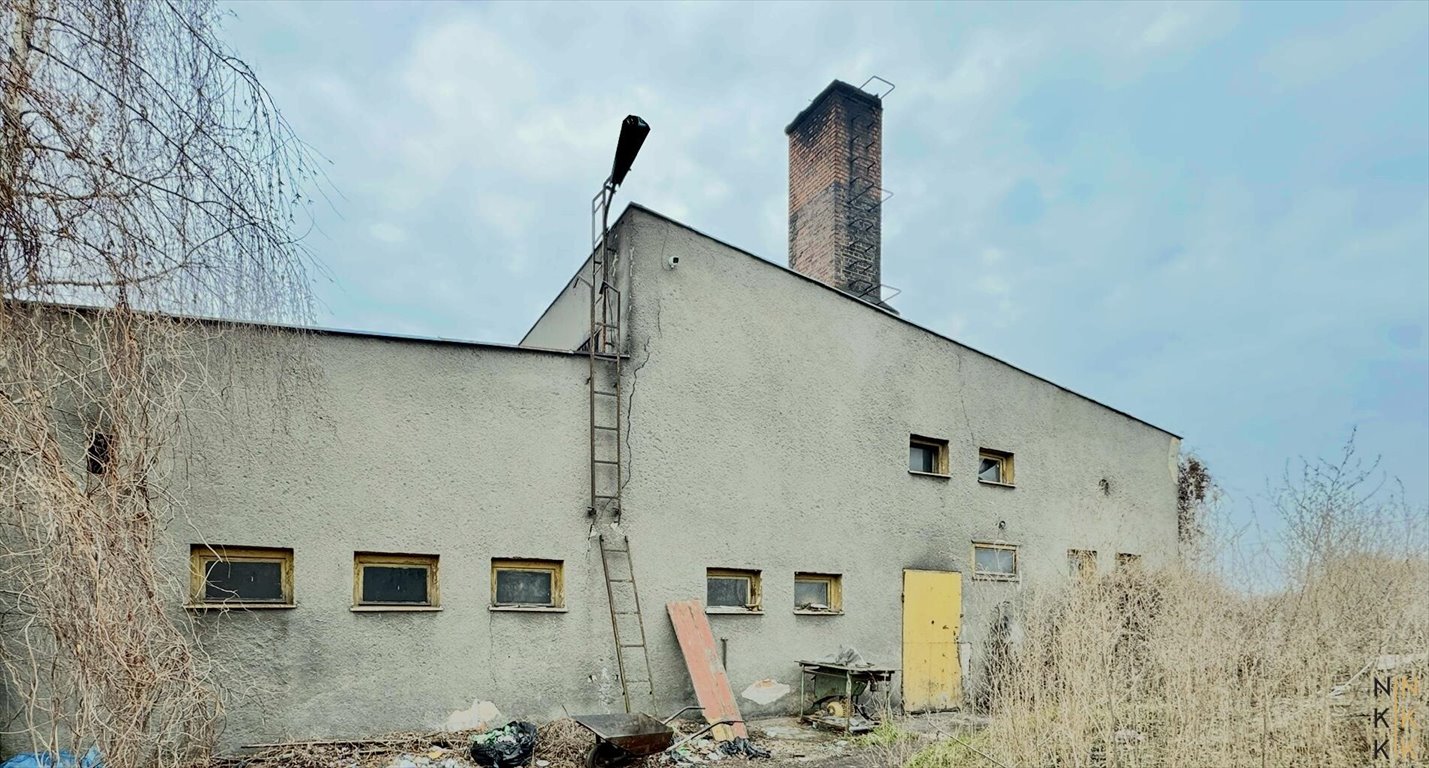 Lokal użytkowy na sprzedaż Domaniów  2 285m2 Foto 1
