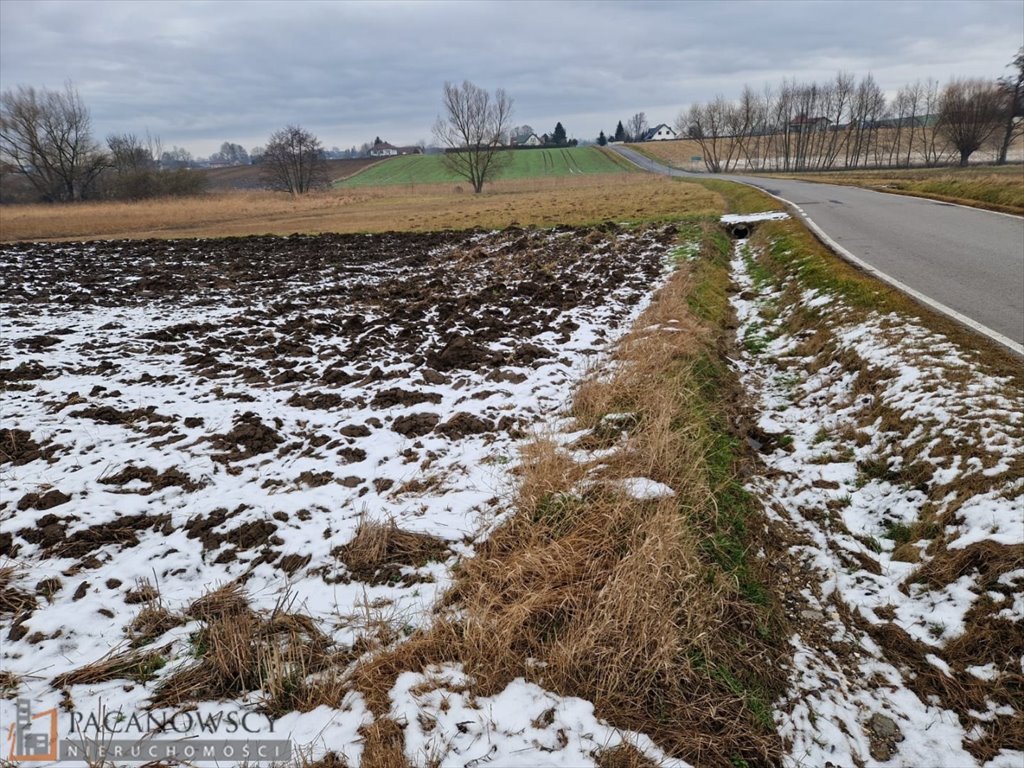 Działka budowlana na sprzedaż Wilków  854m2 Foto 4