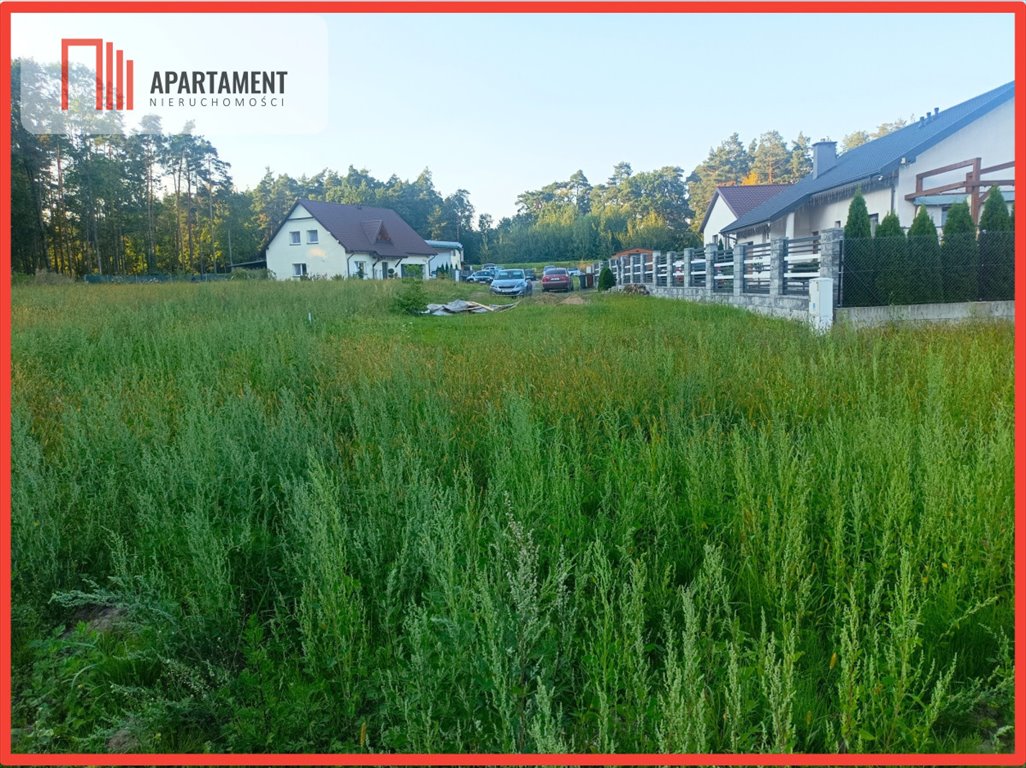 Działka budowlana na sprzedaż Terespol Pomorski  1 630m2 Foto 2