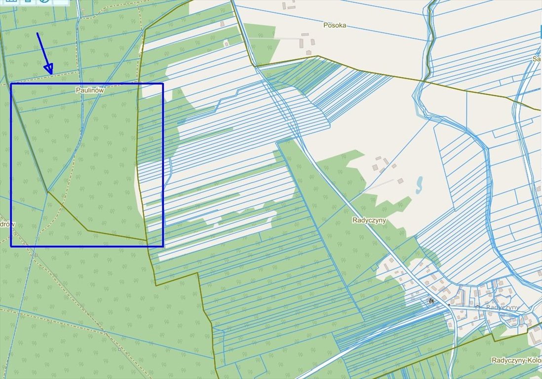 Działka leśna na sprzedaż Paulinów  149 300m2 Foto 6