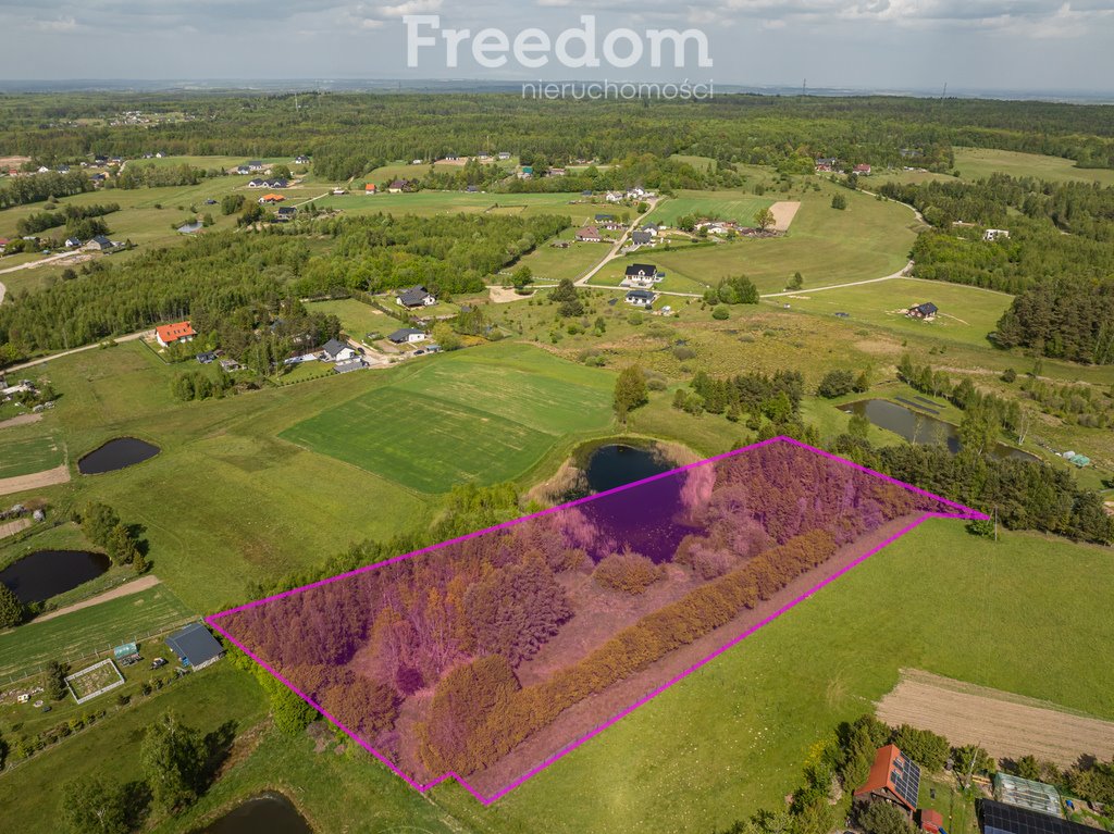 Działka budowlana na sprzedaż Pomlewo, Piaskowa  10 000m2 Foto 1