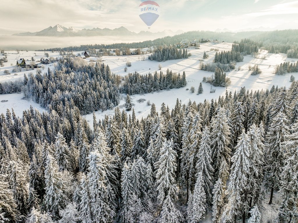 Działka rolna na sprzedaż Bukowina Tatrzańska  7 839m2 Foto 17