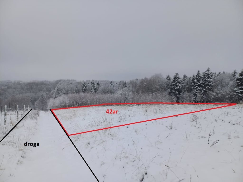 Działka 42 ar z mediami, do negocjacji, Wesoła Wesoła  4 200m2 Foto 1