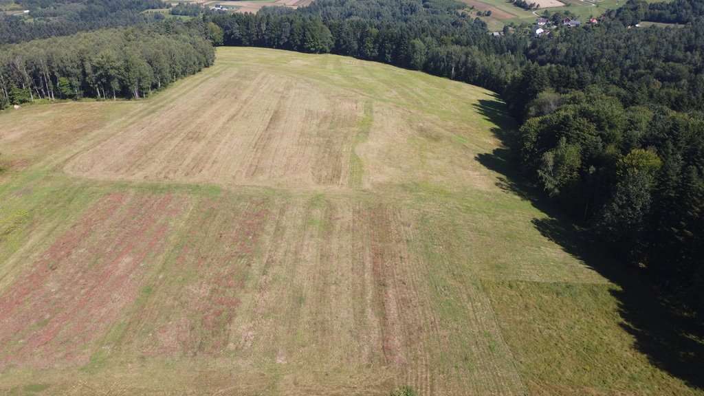 Działka budowlana na sprzedaż Lutcza  96 200m2 Foto 12