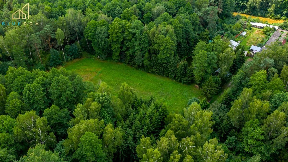 Działka inna na sprzedaż Brak miasta  9 180m2 Foto 7