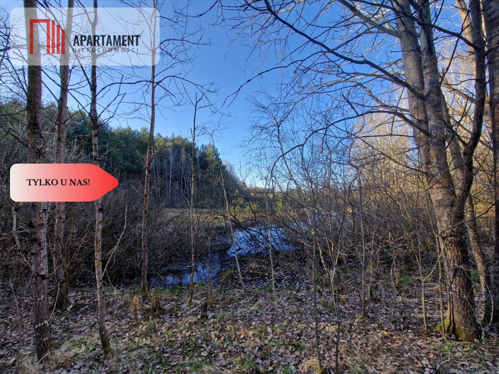 Działka siedliskowa 20 000 m² z lasem i blisko jeziora Skorzewo  20 000m2 Foto 1