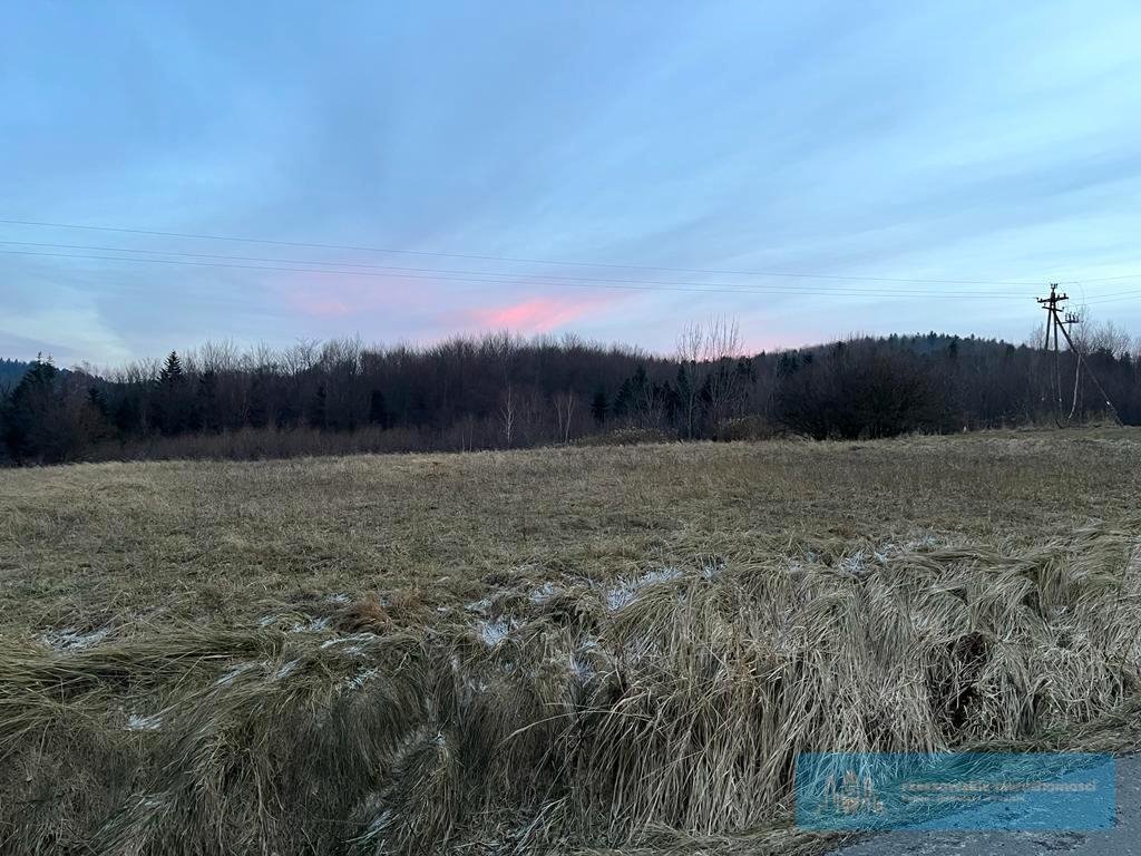 Działka budowlana na sprzedaż Brzeziny  1 700m2 Foto 3